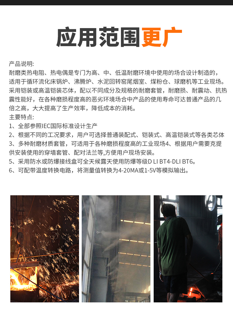 WRNM-131耐磨熱電偶15_http://m.siteall.cn_溫度儀表_第6張